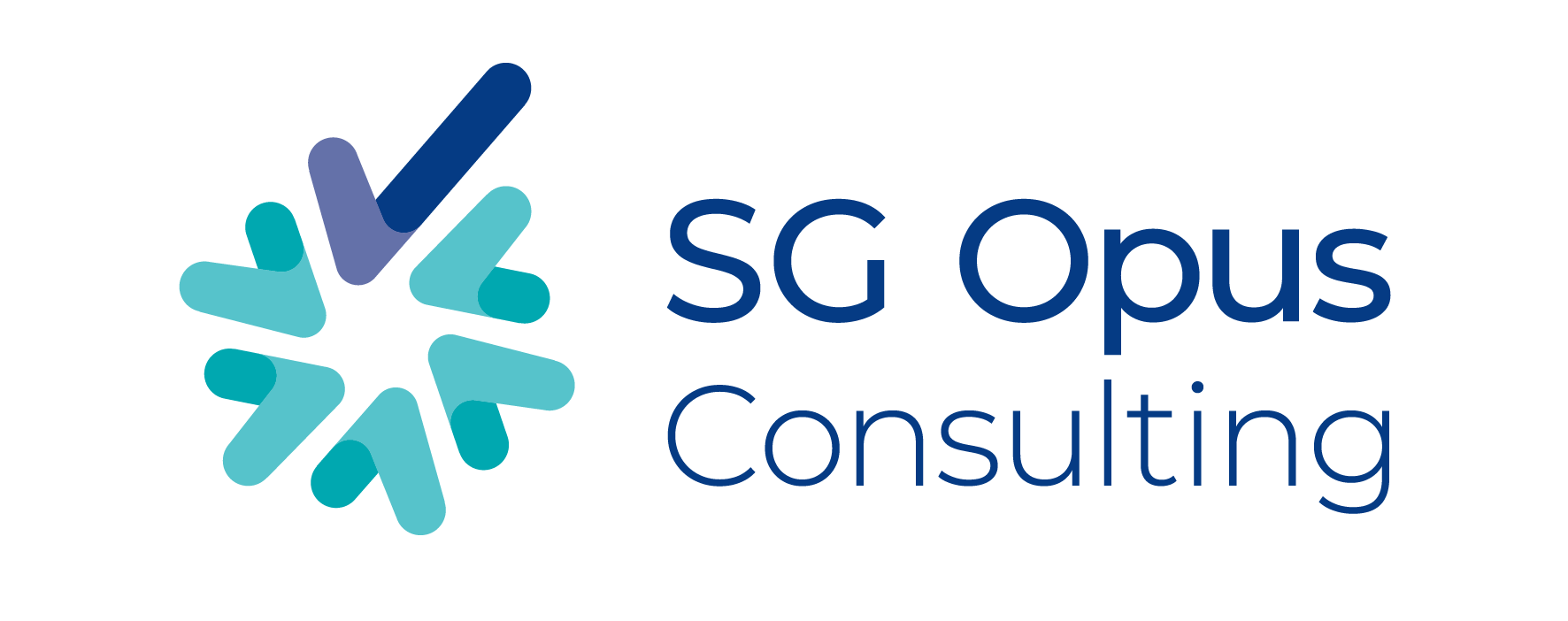 SG OPUS CONSULTING